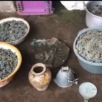 Heboh! Ribuan Uang Kepeng dan Artefak Kuno Ditemukan di Lahan Warga Pasuruan