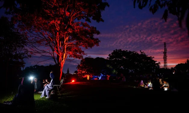 Pohon Mendongeng Lewat Video Mapping, Edukasi Lingkungan di Sesar Lembang Kalcer