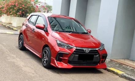 LCGC Terancam Tergusur! Mobil Listrik Murah Mulai Kuasai Pasar