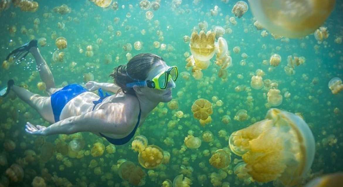 Wings Air Resmi Buka Rute Tanjung Redeb–Maratua, Akses Pulau Wisata Kini Terbang Langsung