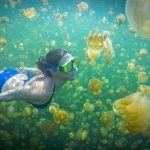 Wings Air Resmi Buka Rute Tanjung Redeb–Maratua, Akses Pulau Wisata Kini Terbang Langsung