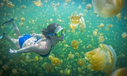 Wings Air Resmi Buka Rute Tanjung Redeb–Maratua, Akses Pulau Wisata Kini Terbang Langsung