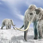 Terungkap! Ledakan Komet Diduga Picu Kepunahan Mammoth di Bumi