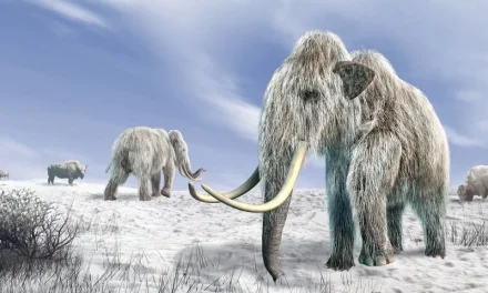 Terungkap! Ledakan Komet Diduga Picu Kepunahan Mammoth di Bumi