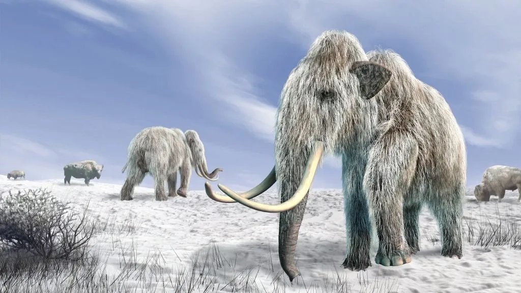 Kepunahan Mammoth