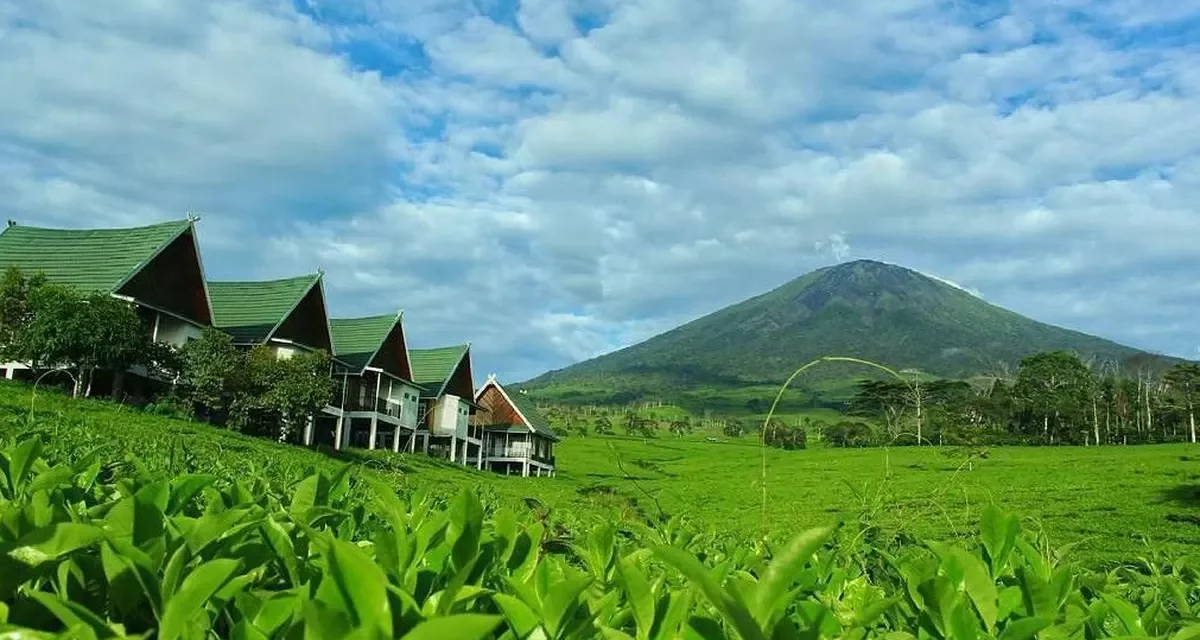 Keindahan Gunung Dempo Mengguncang Pariwisata Sumatera, Ini Daya Tariknya