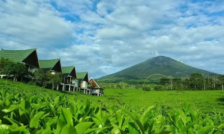 Keindahan Gunung Dempo Mengguncang Pariwisata Sumatera, Ini Daya Tariknya