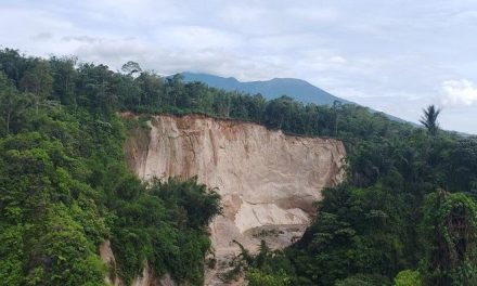 Heboh! Longsor Raksasa Terjang Tebing Ngarai Sianok di Awal Tahun 2026