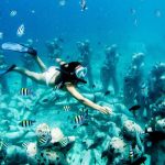 Viral! Gili Trawangan Resmi Jadi Destinasi Berenang Terbaik Dunia 2026, Kalahkan Mesir dan Turki!