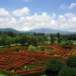 Libur Lebaran ke Bogor? Ini 7 Tempat Wisata yang Lagi Viral!