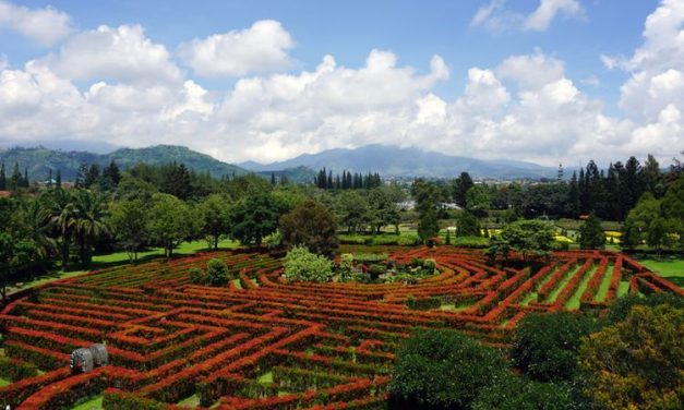 Libur Lebaran ke Bogor? Ini 7 Tempat Wisata yang Lagi Viral!