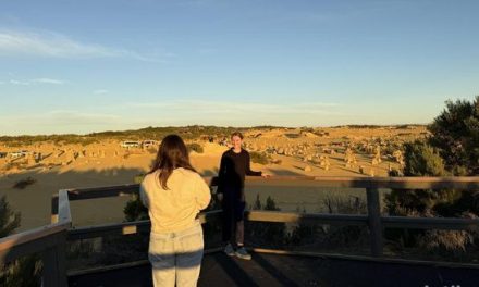 The Pinnacles Desert, Destinasi Wisata Ikonik di Australia Barat