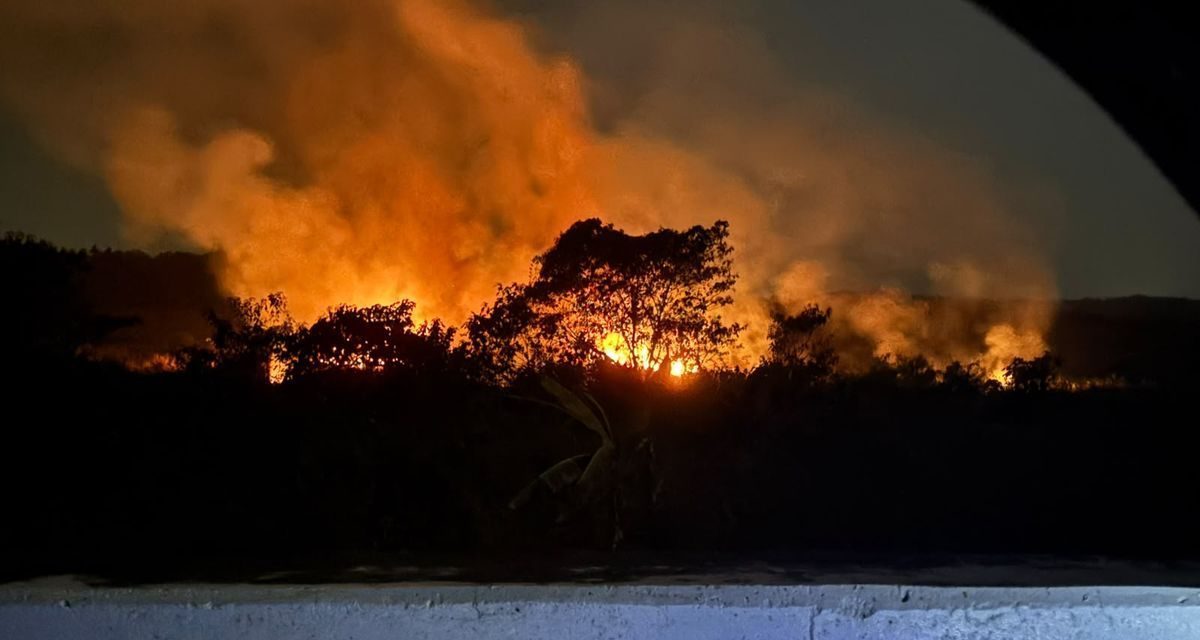 Jepang Kirim 600 Personel dan Helikopter CH-47 untuk Bantu Tangani Karhutla Kalimantan