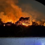 Jepang Kirim 600 Personel dan Helikopter CH-47 untuk Bantu Tangani Karhutla Kalimantan