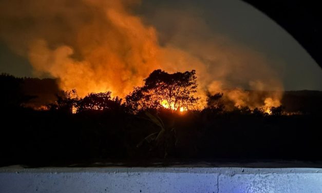 Jepang Kirim 600 Personel dan Helikopter CH-47 untuk Bantu Tangani Karhutla Kalimantan